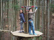 ツリークロスアドベンチャー厚木・七沢の写真3