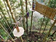 ツリークロスアドベンチャー厚木・七沢の写真2