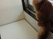 アンシャトンの写真3