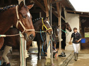 乗馬クラブFRTの写真2