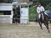 乗馬クラブFRTの写真3