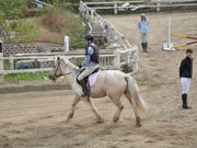 乗馬クラブFRTの写真4