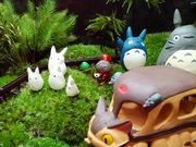 苔工房アイモスの写真3