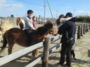 山元夢ファームの写真2