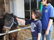 山元夢ファームの写真3