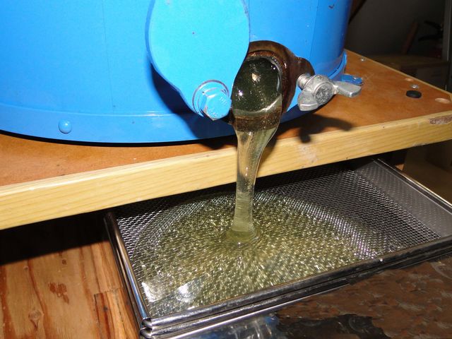 遠心分離機から出るローハニー(生はちみつ)_下田みつばち