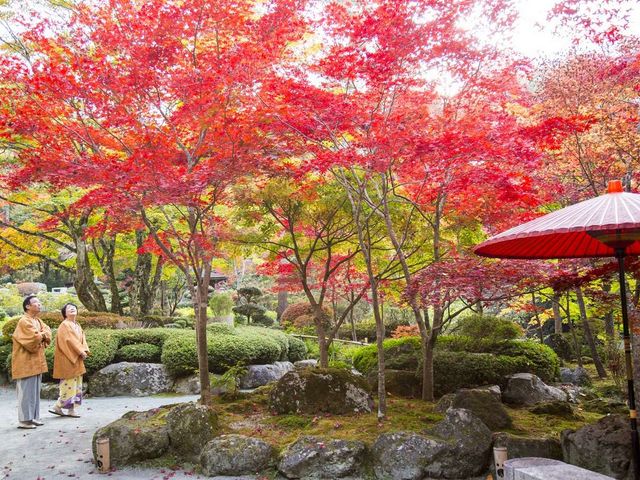 秋の庭園風景/紅葉は10月下旬〜11月中旬_庭園と感動の宿 ホテル鐘山苑
