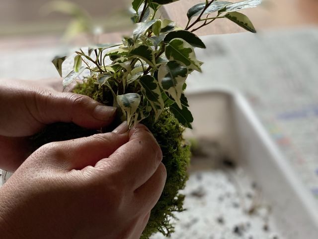 凛華
