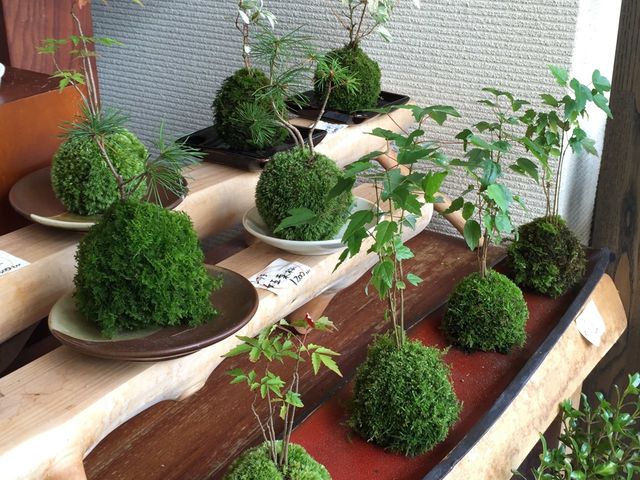 凛華