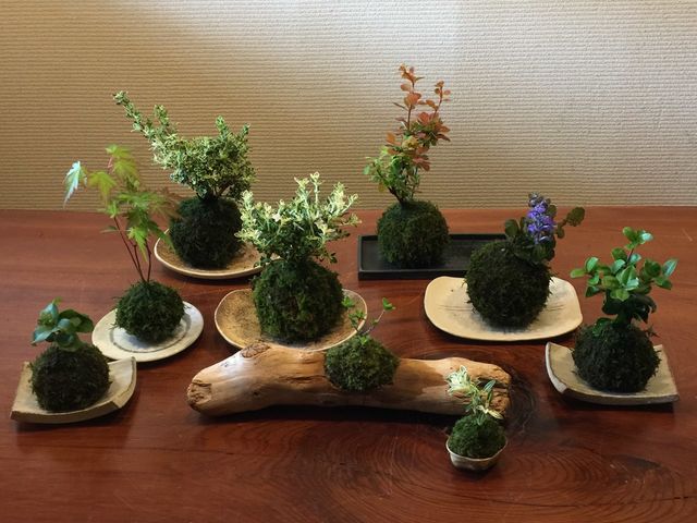 凛華