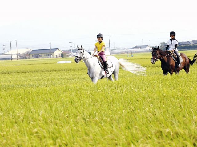 HORSE RIDER