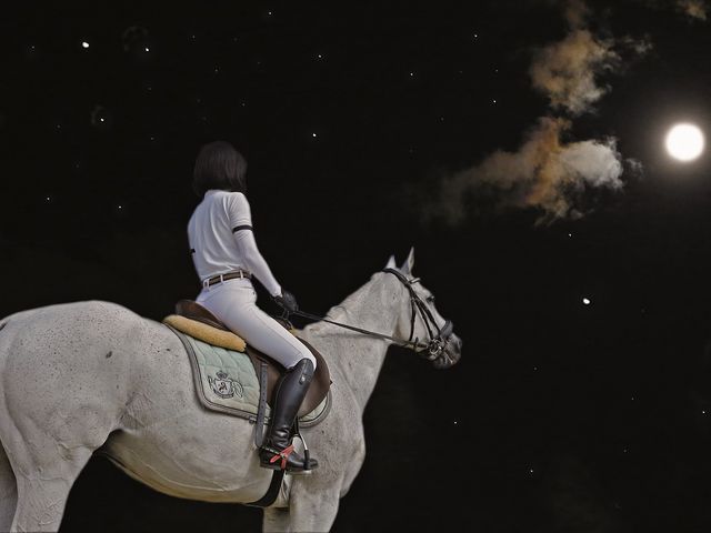 HORSE RIDER