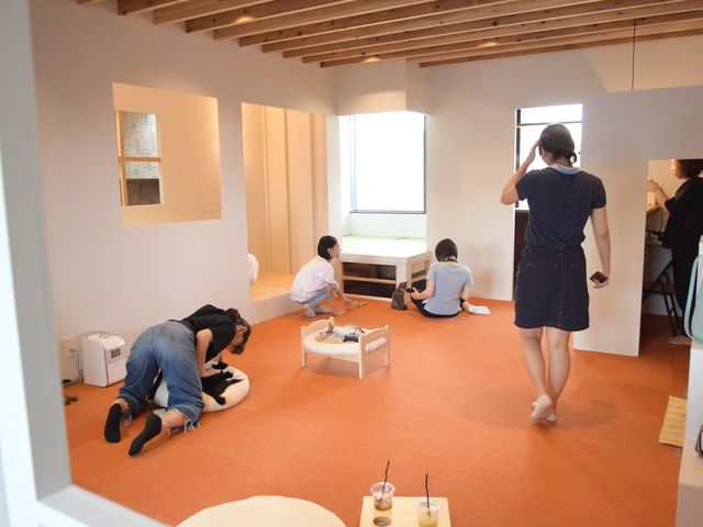 保護猫カフェ285
