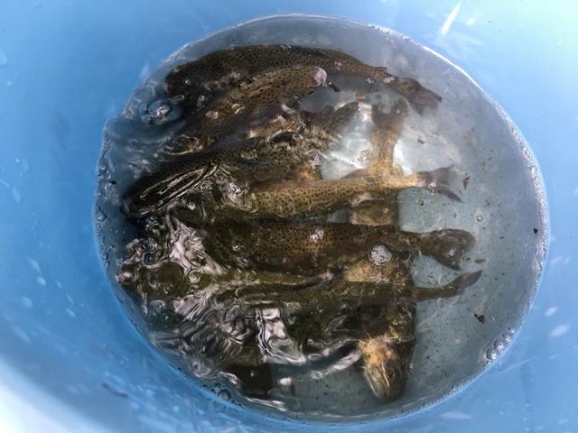 清流閣