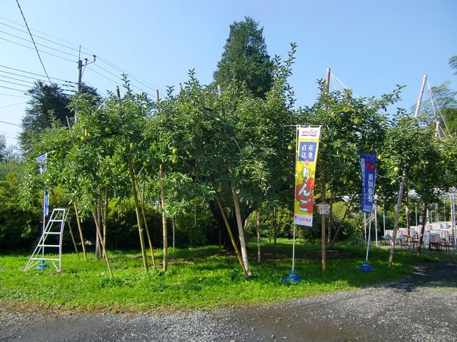 奥久慈りんご元祖 黒田りんご園
