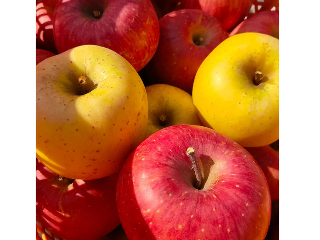 しいなりんご園