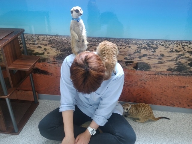 もふれる屋 カラハリの写真1