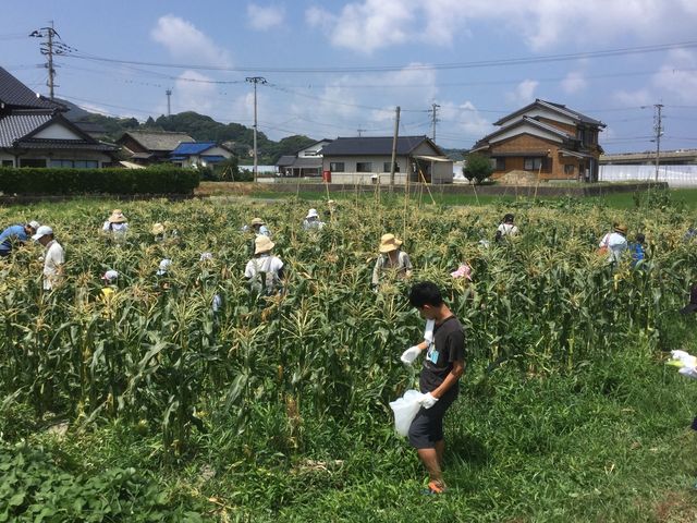 糸島福吉体験農園