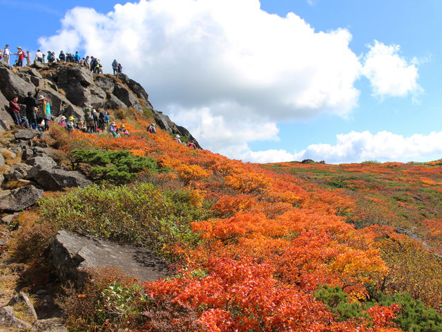本州一早いとも言われる“三ツ石山の紅葉”。じゅうたんを広げたような美しい紅葉を眼下に観られます。_八幡平マウンテンホテル