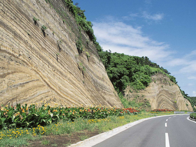 伊豆大島