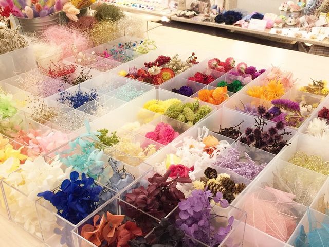 当店はお花の種類が多いと好評をいただいております。_DRECCA(ドレッカ)