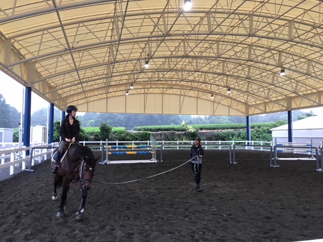 牧之原乗馬クラブ