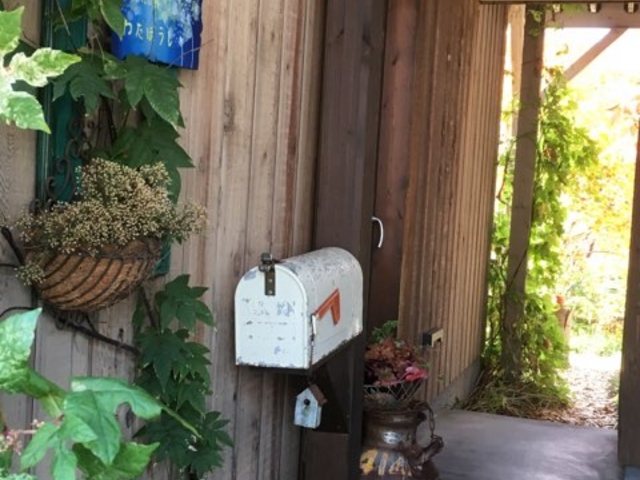 Flower わたぼうし
