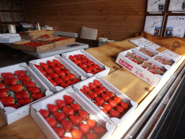 売店&受付_サクザ農園