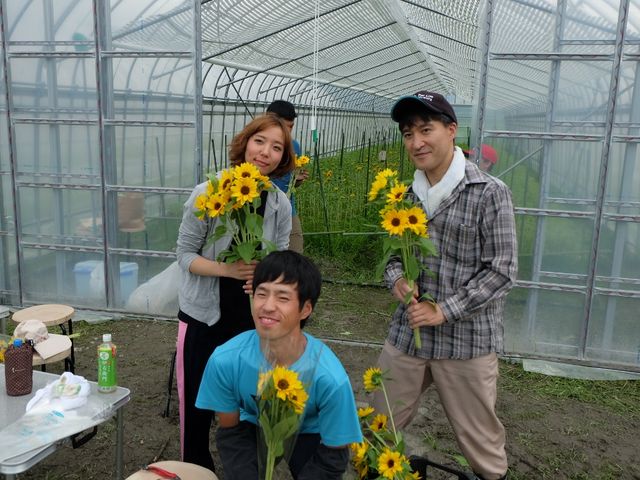 ひまわり収穫体験は、6月に_地域まるっと体感宿 玉村屋