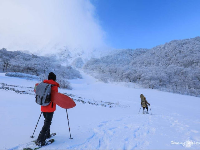 スノーシューでパウダーの雪を歩いて見ませんか?_Hidden west