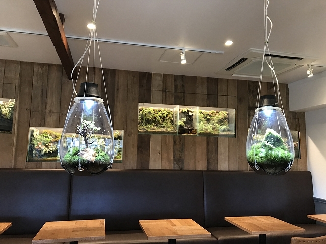 店内(パルコジョキ カフェ) 有名な苔作家による作品をご覧頂けます_ファミリーガーデン陽春園(陽春園植物場)