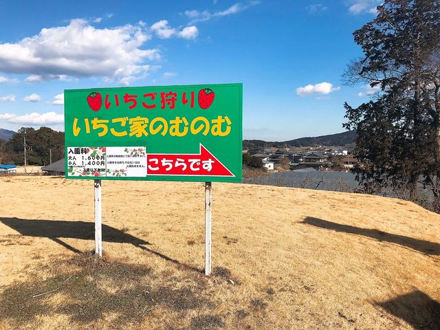 いちご家のむのむ