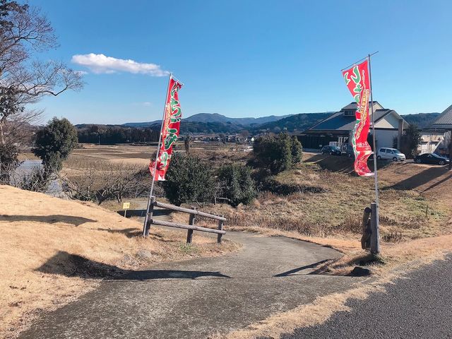 いちご家のむのむ