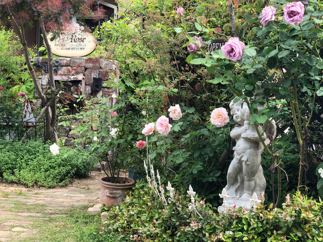小さな庭ですが、薔薇の季節には沢山の花を咲かせてくれます。_アトリエRose