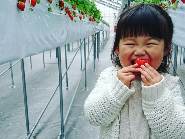 折原果樹園