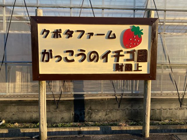 ハウス沿いにあるいちごがちょこんとのっている大きい看板が目印です★_がっこうのイチゴ園「財田上」