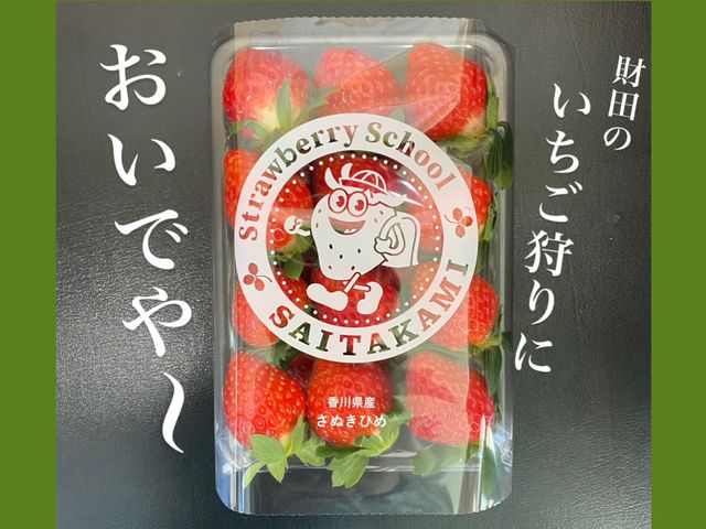 がっこうのイチゴ園「財田上」