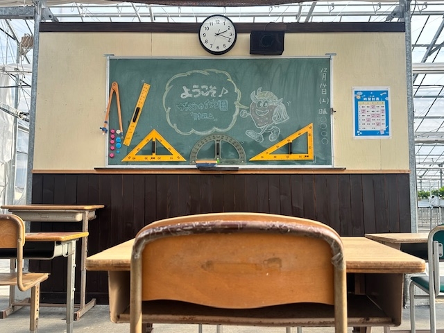 スタッフ手作りの昭和レトロな教室をイメージした休憩&撮影スポットもございます!_がっこうのイチゴ園「財田上」