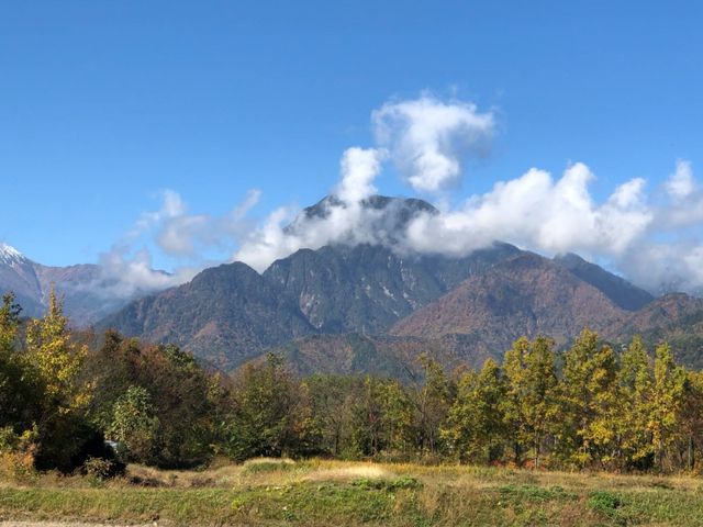 ドックラン こいぬのワルツ あづみの