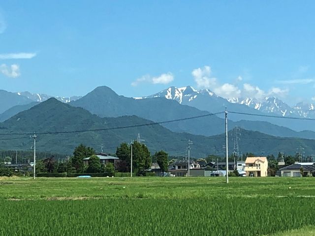 ドックラン こいぬのワルツ あづみの