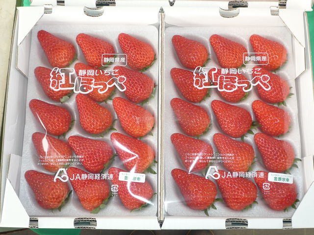 大玉いちご_金ちゃん農園