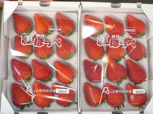 金ちゃん農園