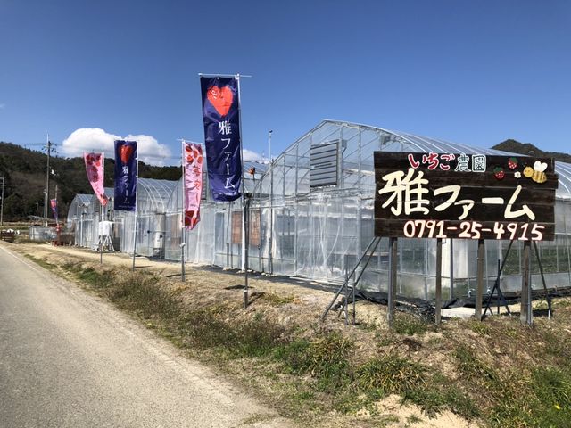いちご農園 雅ファーム