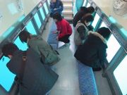 はるひら丸遊覧船イルカ号の写真3