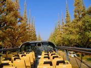 2階建てオープンバス『スカイバス』・水陸両用バス『スカイダック』の写真3