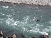 NPO団体SSPの写真4