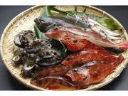 海べのおやど 丸文の写真2