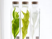 Atelier Hanaの写真2