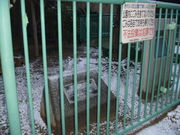 難波千日前公園の写真1