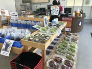 ほしいも株式会社 清水ぶどう園・干し芋工房の写真4